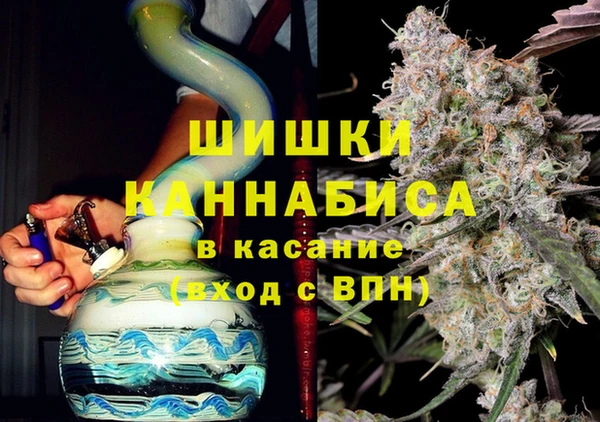 ECSTASY Горняк